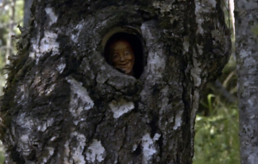 Rừng tự sát, Nhật Bản: Aokigahara là một khu rừng nằm ở chân núi Fuji. Cây mọc dày đặc tới mức gió không thể lọt vào và gần như không có động vật sinh sống. Vì thế, khu rừng im ắng đến rợn người, truyền thuyết xa xưa kể rằng trong rừng có ma quỷ. Ngày nay, đây là một nơi thường xuyên diễn ra các vụ tự tử đến mức chính phủ Nhật phải đặt các biển báo khuyên mọi người suy nghĩ lại. Nếu tới đây, bạn sẽ thấy không khí âm u, đáng sợ, đôi khi bắt gặp những sợi dây thòng lọng hay những đồ vật mà người tự sát bỏ lại.