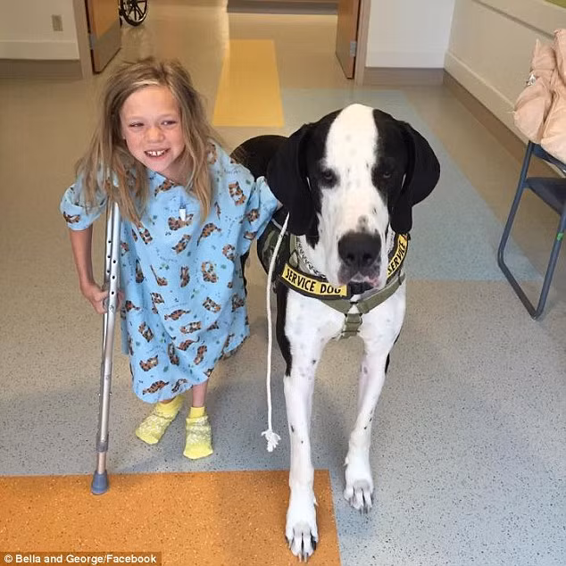 George cũng giúp Bella đến các phòng tập gym và chơi ở bên ngoài chờ đợi. Buổi tối khi Bella ngủ, chú chó cũng ngủ ở bên cạnh cô bé.