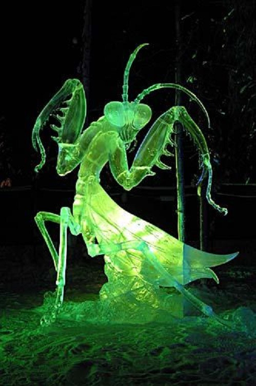 Chú bọ ngựa bằng đá nhưng vẫn có màu xanh ma quái.