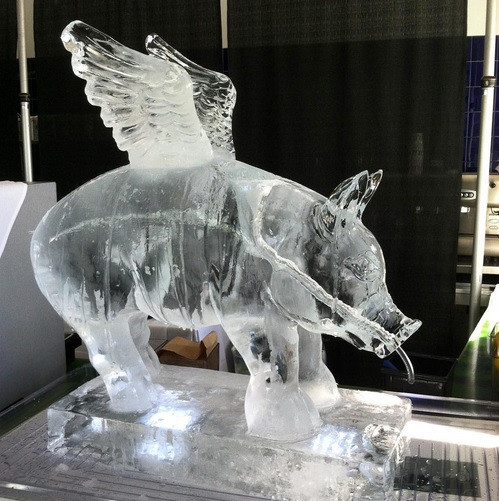 Và cuối cùng là một chú lợn tươi mát.