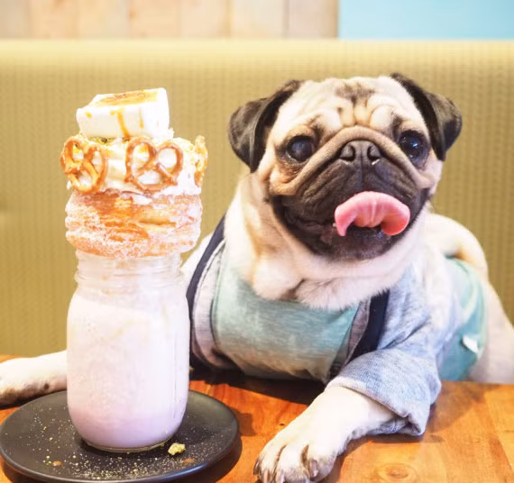 Homer tạo dáng khoe bữa ăn với thực đơn là cốc kem sữa lỏng và chiếc bánh ngọt ba tầng