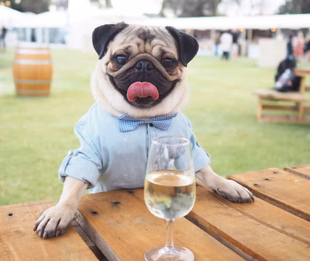 Trong một bức hình khác, Homer đang thưởng thức ly rượu vang thường.