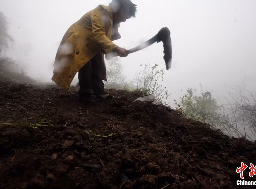 Người phụ nữ đã tự xoay xở để sống sót bằng cách hứng nước mưa để uống, nấu ăn và quét dọn.