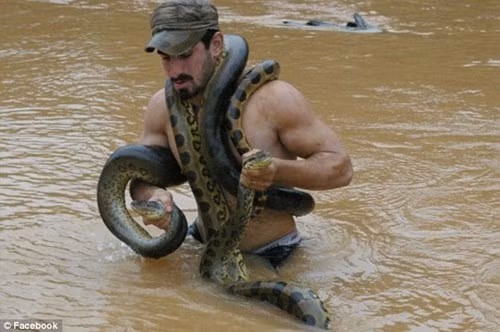 Mặc dù trăn sinh hoạt chủ yếu ở trên mặt đất và trên cây nhưng chúng bơi rất giỏi.