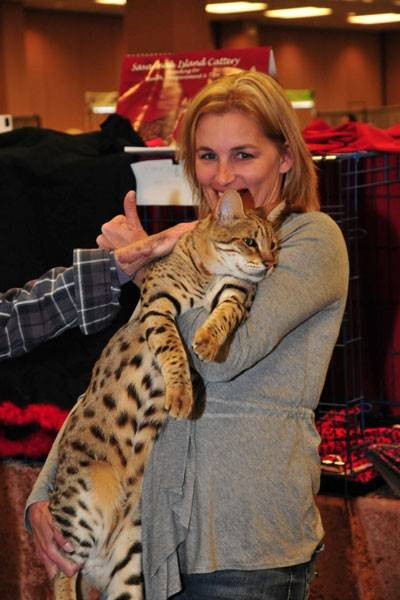 Với chiều dài 48,26cm từ vai đến ngón chân, Trouble được ghi nhận là chú mèo cao nhất thế giới.