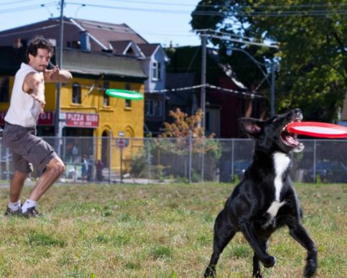 Edward Watson đã phát hiện ra tài năng bắt đĩa bay siêu đẳng của cún cưng Rose. Rose có thể bắt và giữ tới 7 chiếc đĩa bay được ném riêng biệt mà không hề để lỡ một cái nào.