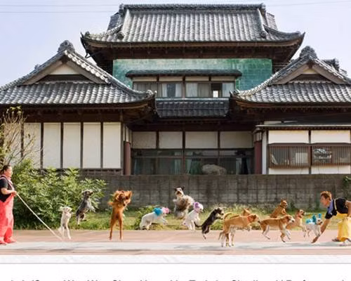 Những chú chó của Uchida Geinousha là những ngôi sao thu hút sự chú ý của khán giả tại rạp xiếc Wan Wan của Nhật Bản. Tại đây, bạn sẽ được xem 13 con chó cùng nhảy dây – một kỷ lục lý thú khác trong thế giới thú cưng.