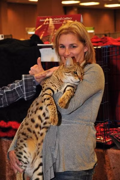 Với chiều dài 48,26cm từ vai đến ngón chân, Trouble được ghi nhận là chú mèo cao nhất thế giới.