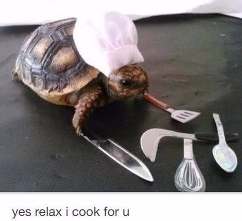 Dụng cụ làm bếp cho đầu bếp rùa.