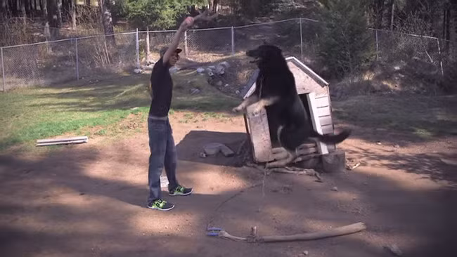 Joe và Sako là đôi bạn thân từ lâu.