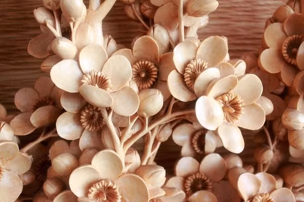 Nguyên nhân có lẽ cũng bởi những yêu cầu khắt khe về mặt kỹ thuật mà không nhiều bạn trẻ theo đuổi bộ môn này. 