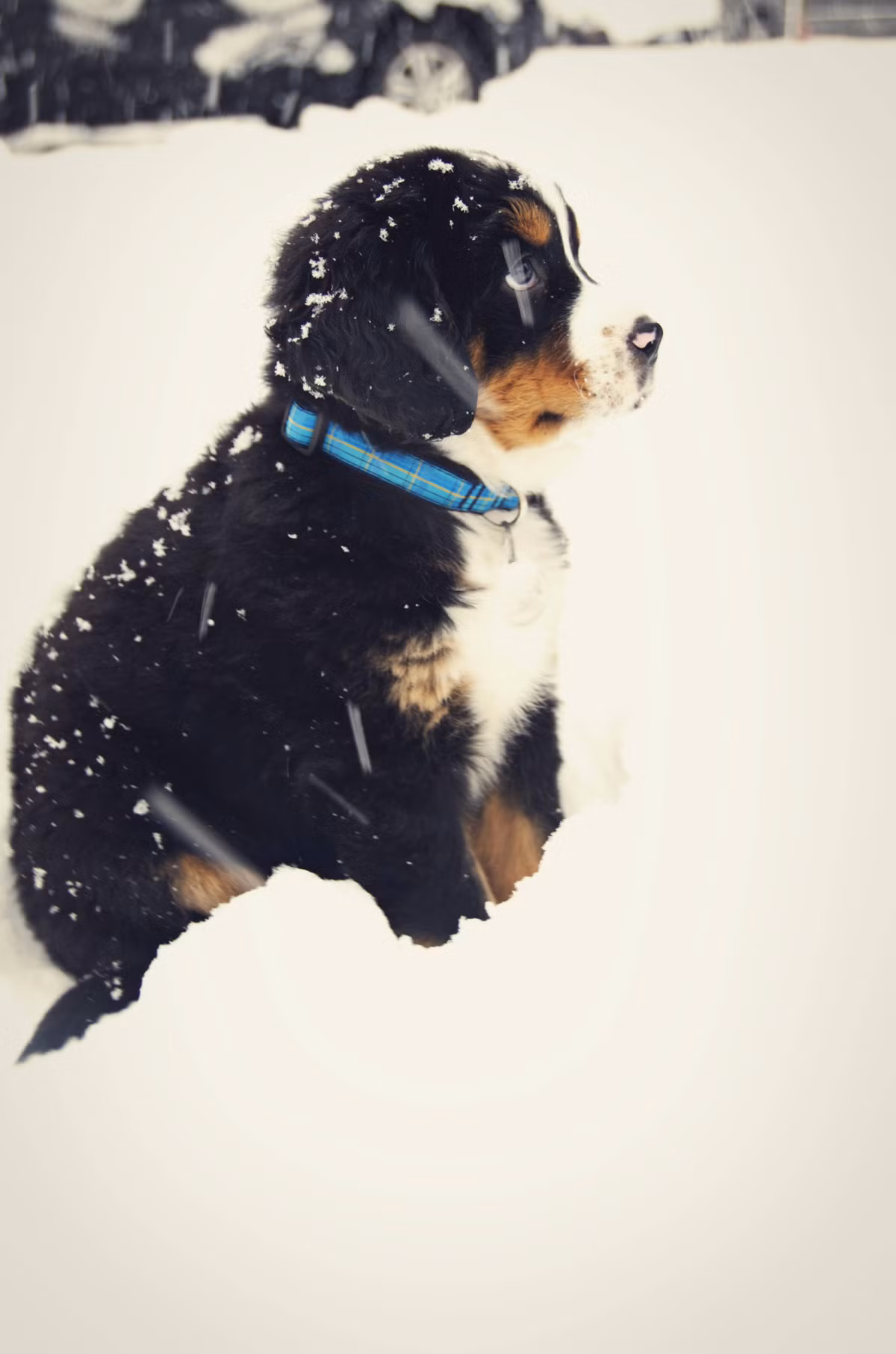  Tôi không chắc cài gì đang diễn ra ngoài trời nhưng tôi nghĩ là tôi thích nó! 