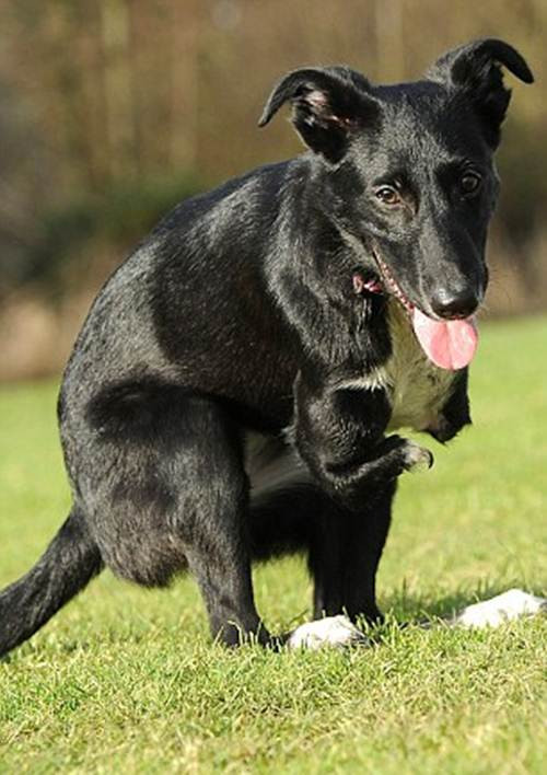 Cô rất hạnh phúc với cuộc sống bây giờ và rất nhiều người lầm tưởng Roo là loài thú có túi khi lần đầu nhìn thấy cô.