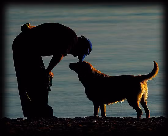 Con người và loài chó đã trở thành “bạn bè” tốt cách đây 30,000 năm.