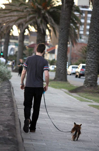 Khả năng một chàng trai xin được số điện thoại của một cô gái cao hơn gấp 3 lần bình thường khi anh ta dắt theo một con chó bên mình.