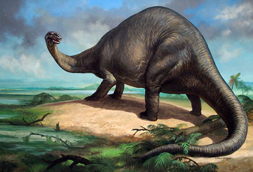 40% người Mỹ nghĩ rằng loài người và khủng long sống cùng thời điểm với nhau.