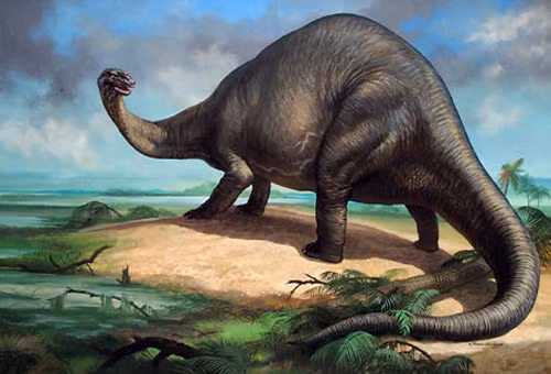 40% người Mỹ nghĩ rằng loài người và khủng long sống cùng thời điểm với nhau.