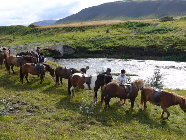 Cưỡi ngựa ở Iceland. Những con ngựa ở Iceland được thuần hóa rất thân thiện với những người muốn ghé thăm và cưỡi chúng đi ngắm cảnh.