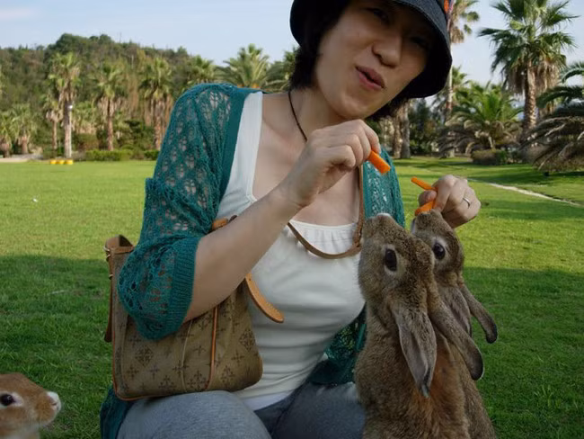 Đảo thỏ Okunoshima, Nhật Bản. Trong Chiến tranh thế giới thứ 2, những con thỏ ở Okunoshima được sử dụng làm đối tượng thí nghiệm tại nhà máy hóa chất khí độc của hòn đảo. Khi chiến tranh kết thúc, nhà máy được dỡ bỏ, những con thỏ cũng được trả lại tự do và sống tại đảo.