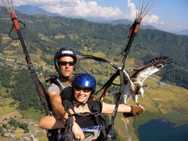 Tại Nepal, những ai ưa trải nghiệm có thể được tiếp xúc với những loài chim săn mồi cao thủ nhất thế giới như đại bàng, kền kền, diều hâu.