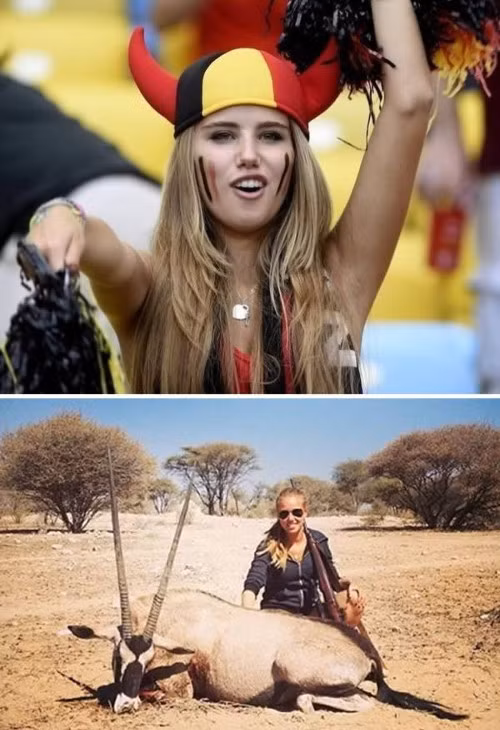 Năm 2014, sau World Cup, gương mặt khả ái của Axelle Despiegelaere đã giúp cô kiếm được hợp đồng béo bở với L'Oréal. Tuy nhiên, nhãn hàng mỹ phẩm nổi tiếng của Pháp đã quyết định dừng hợp tác với Axelle sau khi cô gái 17 tuổi này đăng tải bức ảnh đi săn động vật hoang dã của mình lên trang cá nhân.