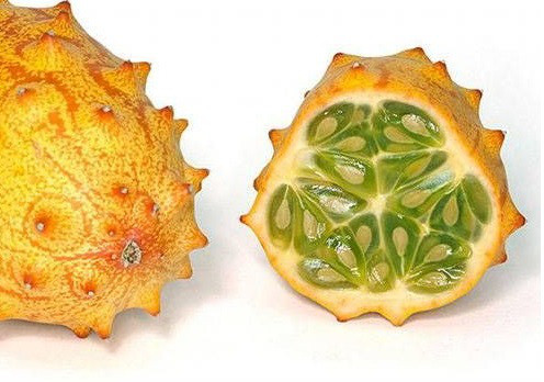 Một trong những giống dưa chuột quái đản nhất - Dưa chuột sừng châu Phi (Cucumis metuliferus) có lớp da gai góc màu vàng ươm nhưng ruột lại có màu xanh tươi mát. Không chỉ bắt mắt, loại dưa chuột này còn có vị ngọt thanh mát.