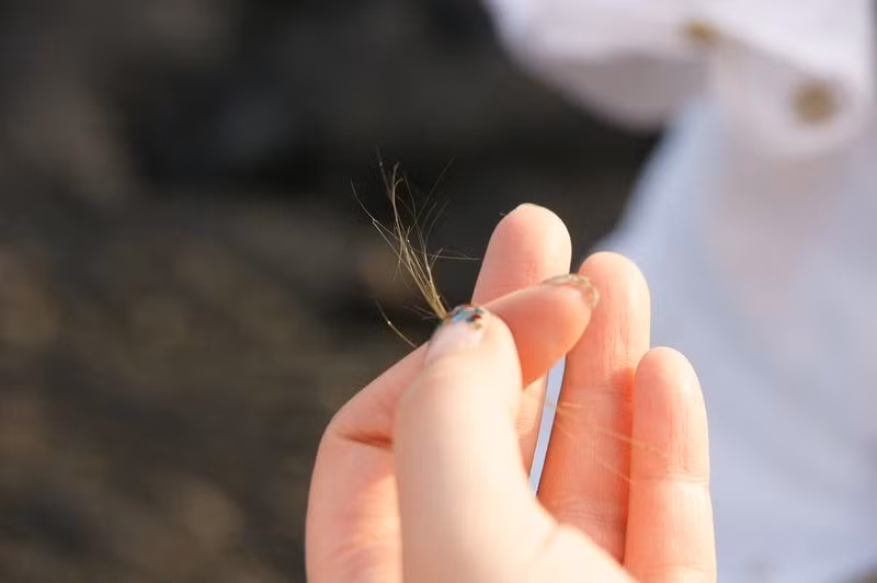 Thuật ngữ “Pele’s hair” xuất phát từ thần thoại Hawaii, trong đó Pele là nữ thần lửa, sét, gió và núi lửa, đồng thời là người tạo ra quần đảo Hawaii. Tóc núi lửa không chỉ tìm thấy ở Hawaii mà còn có thể được tìm thấy ở nhiều núi lửa khác trên thế giới.