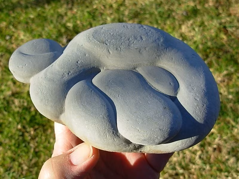 Người Ấn Độ đã gọi chúng là “Fairy Stones” – những hòn đá thần tiên từ hàng trăm năm trước và coi đó là bùa may mắn khi đi đánh bắt cá hay săn bắn.