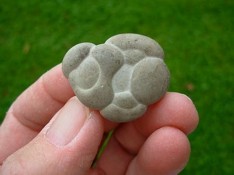 Những viên đá này thường được tìm thấy dưới lớp đất sét mềm.