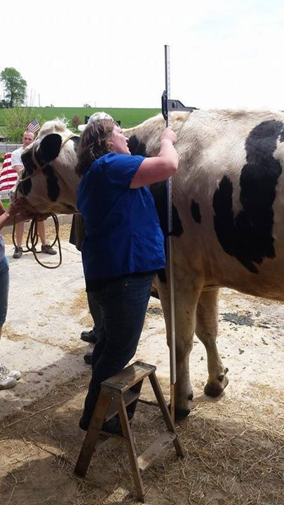 Khi nhận thấy sự phát triển chiều cao bất thường của Blosom, chủ trang trại quyết định giữ nó lại và nuôi như một con thú cưng thay vì bán đến lò mổ.