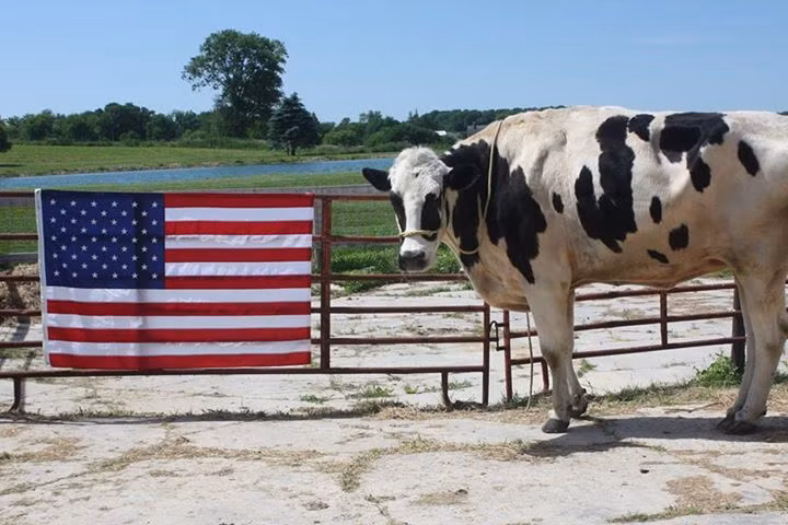 Sau khi được ghi nhận, Blosom nhận được tình cảm yêu mến từ nhiều người trên thế giới.