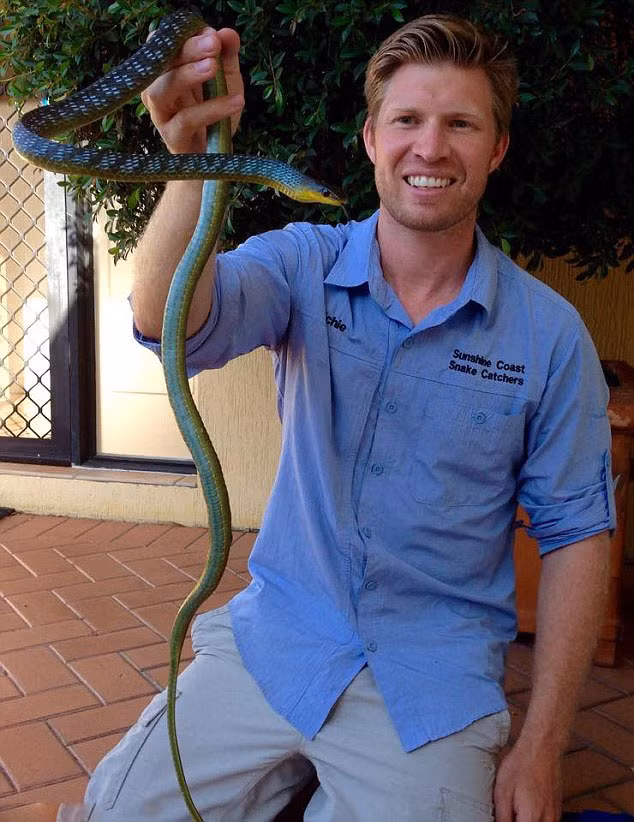 Richie Gilbert đang khoe một trong số những con rắn mà anh thu phục được. Theo như Richie, anh đã bị rắn cắn và bắt được rắn từ hồi mới 5 tuổi.