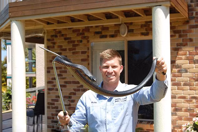 Richie đã thành lập công ty chuyên xử lý những vụ việc liên quan đến rắn lấy tên là Sunshine Coast.