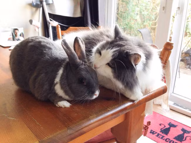 Cho hôn môn cái nào!