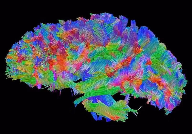 Nhung phat hien khoa hoc khien ai cung bat ngo thang thot