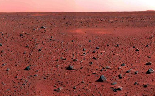 Đất trên sao Hỏa cực kì tốt cho việc trồng măng tây.