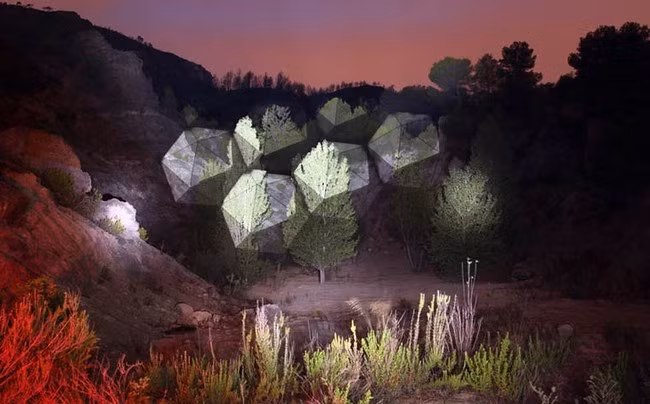 Ngay cả màu xanh của cây cũng trở nên huyền diệu hơn và biến đổi với nhiều sắc thái rất đẹp mắt.