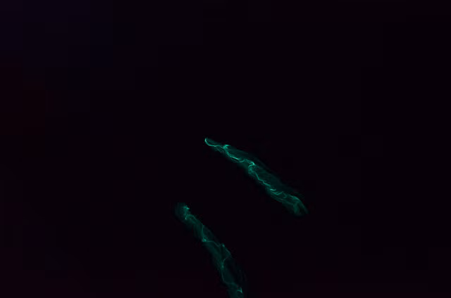 Giun phát sáng Bermuda khiến người ta sợ hãi bởi màu xanh ma quái như những bóng ma trôi lững lờ giữa đại dương.