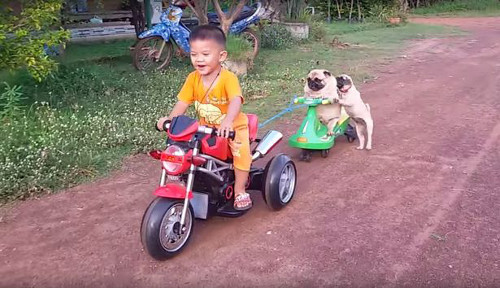 Chet cuoi xem cun cung de thuong hoc di xe lac-Hinh-5