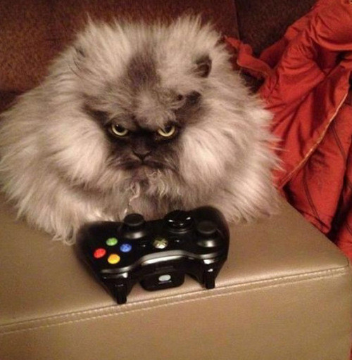 Thua mất rồi, thật bực quá.