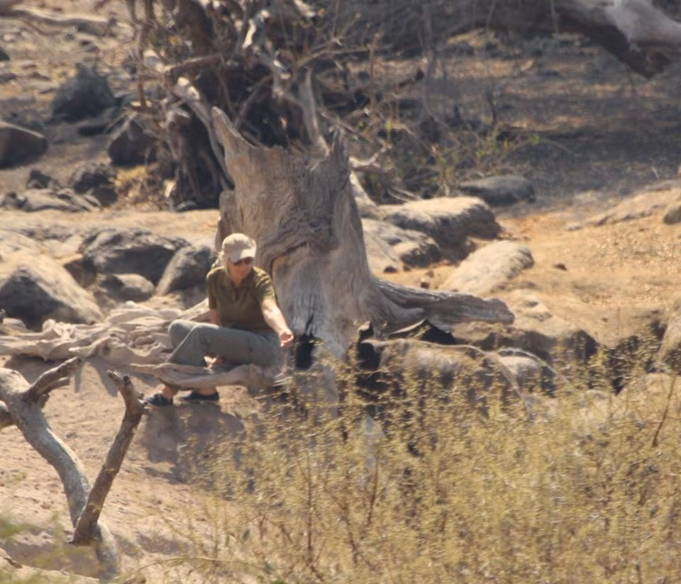 Mặc dù cả hai con voi đều đã được đưa về trung tâm chăm sóc nhưng cho đến nay chúng vẫn phải vất vả chống chọi giành giật lại sự sống.