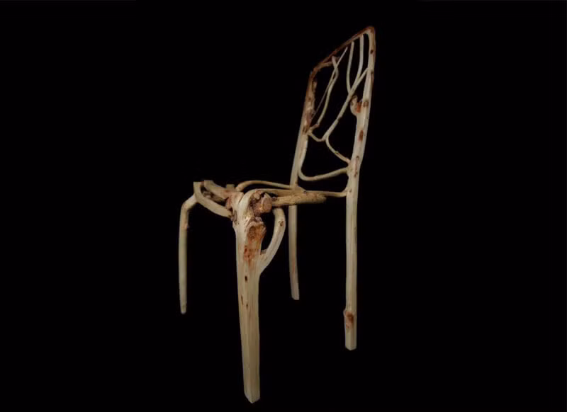 Theo dự tính, trang trại của Munro sẽ cho thu hoạch vào cuối năm 2017. Một chiếc ghế sẽ có giá 2.500 bảng Anh, chụp đèn có giá từ 1.000-1.500 bảng.