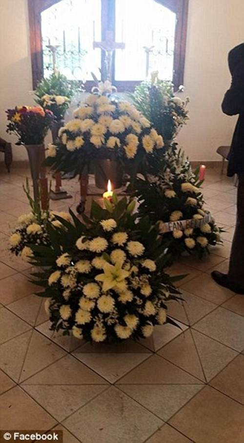 Không chỉ thế vào mỗi buổi sáng, bà Margarita còn chuẩn bị thức ăn cho những con chó, con mèo đi lạc đến nhà bà. Chúng rất quấn quít bên người phụ nữ tốt bụng.