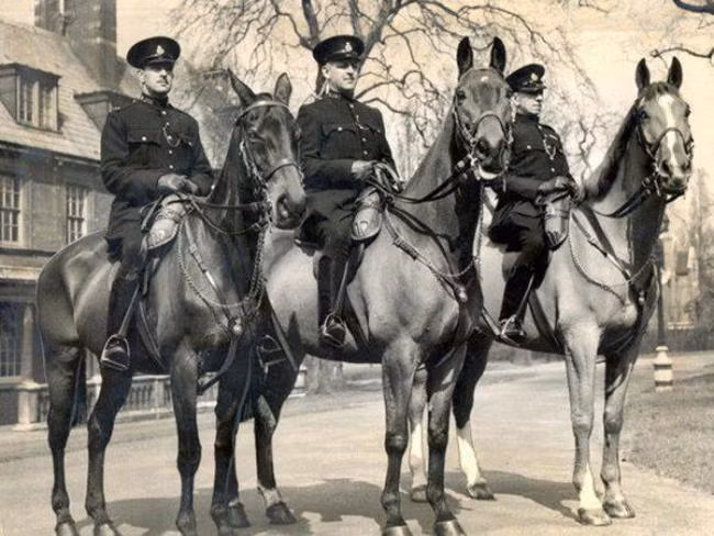 Ba chú ngựa Olga, Upstart và Regal là những chú ngựa duy nhất được trao Huy chương Dickin trong Thế chiến II. Đặc biệt, chúng là những chú ngựa duy nhất không hoảng sợ nhảy chồm lên khi nghe tiếng bom đạn.