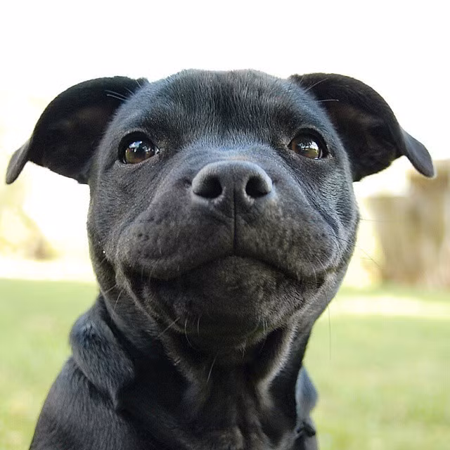 Chỉ cười mỉm thôi nhưng nụ cười này có sức lan tỏa rất lớn.