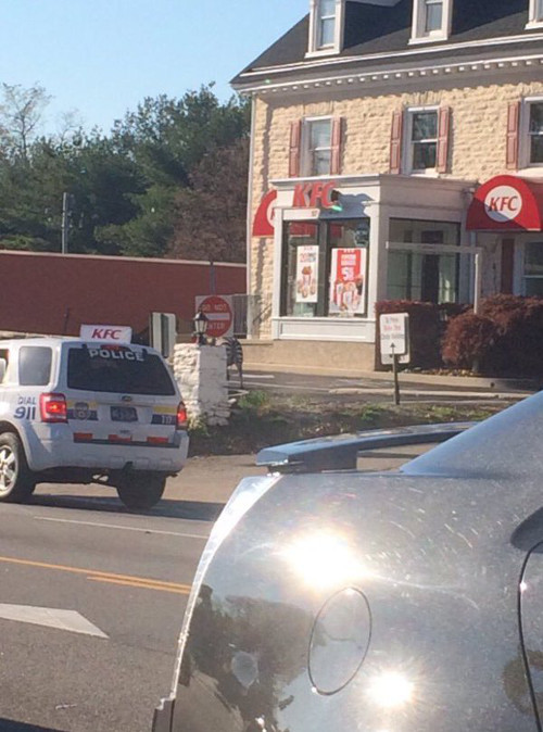 Sau khi trốn, hai chú ngựa chạy đến cửa hàng KFC và Planet Fitness.