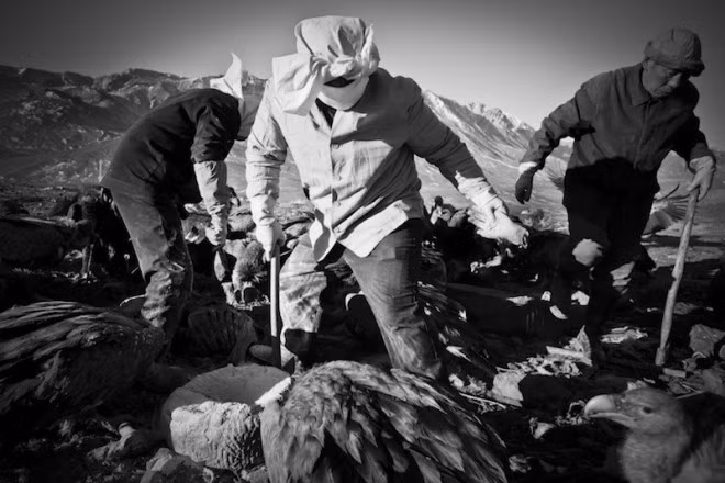 Nghi lễ này có lẽ rùng rợn vượt quá sức tưởng tượng của nhiều người, nhưng đối với Phật tử Tây Tạng, đó là vấn đề tâm linh và cũng hết sức phù hợp với địa hình nơi đây – nơi hỏa táng vô cùng tốn kém còn địa tang thì gặp nhiều khó khăn do đất cứng.