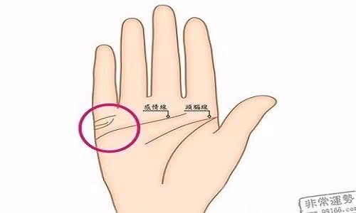  Đường hôn nhân mà sát với ngón đeo nhẫn là tướng của phụ nữ dễ kết hôn với người đàn ông lý tưởng, vừa giàu có lại sống tình cảm, biết chăm sóc vợ con.