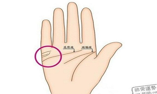  Đường hôn nhân mà sát với ngón đeo nhẫn là tướng của phụ nữ dễ kết hôn với người đàn ông lý tưởng, vừa giàu có lại sống tình cảm, biết chăm sóc vợ con.