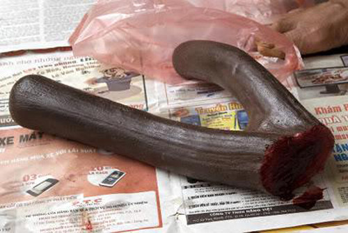 Bản thân các thành phần lộc nhung không gây ngộ độc. Tuy nhiên nếu cơ địa không hợp thì có thể bị nổi mụn hoặc ngứa da. Trường hợp này nên dừng các sớm càng tốt.